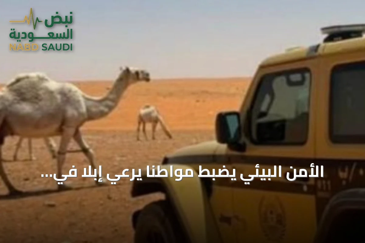 الأمن البيئي يضبط مواطنًا يرعي إبلاً في موقع محظور داخل محمية الإمام تركي بن Abdullah الملكية