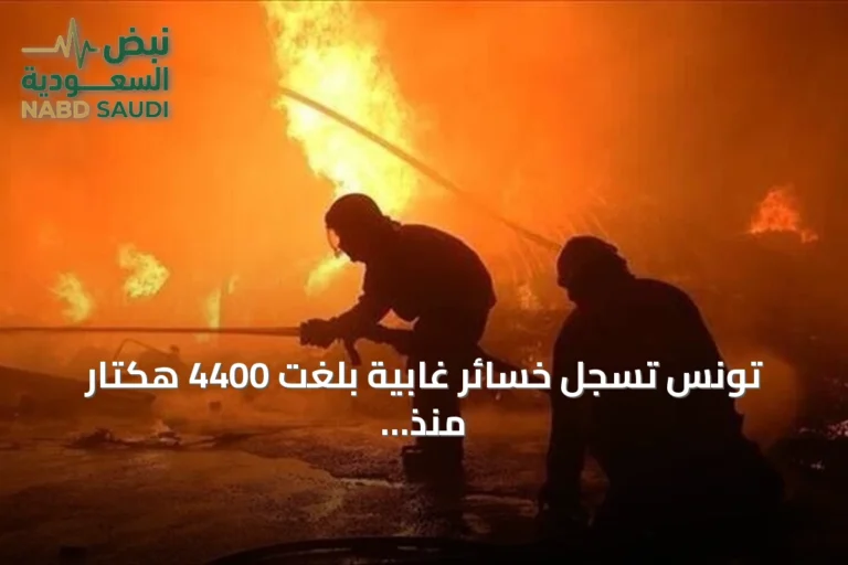 تونس تسجل خسائر غابية بلغت 4400 هكتار منذ مايو 2026