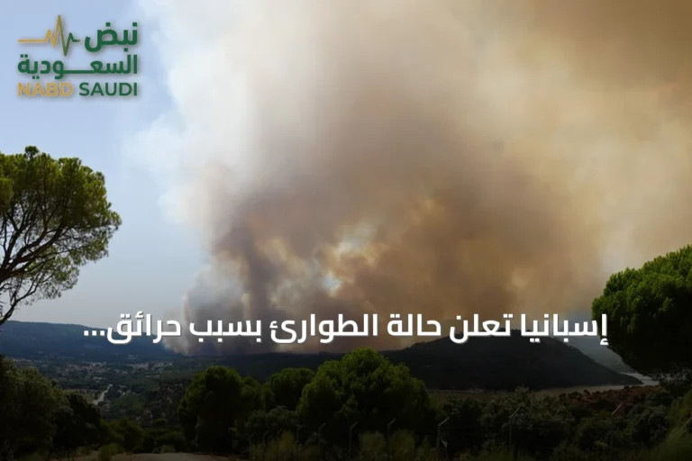 إسبانيا تعلن حالة الطوارئ بسبب حرائق غابات مستمرة حول مدريد