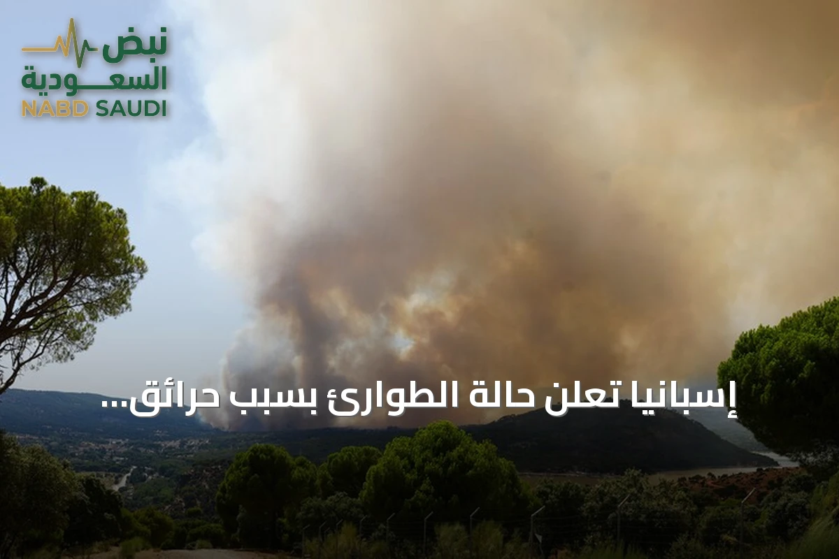 إسبانيا تعلن حالة الطوارئ بسبب حرائق غابات مستمرة حول مدريد