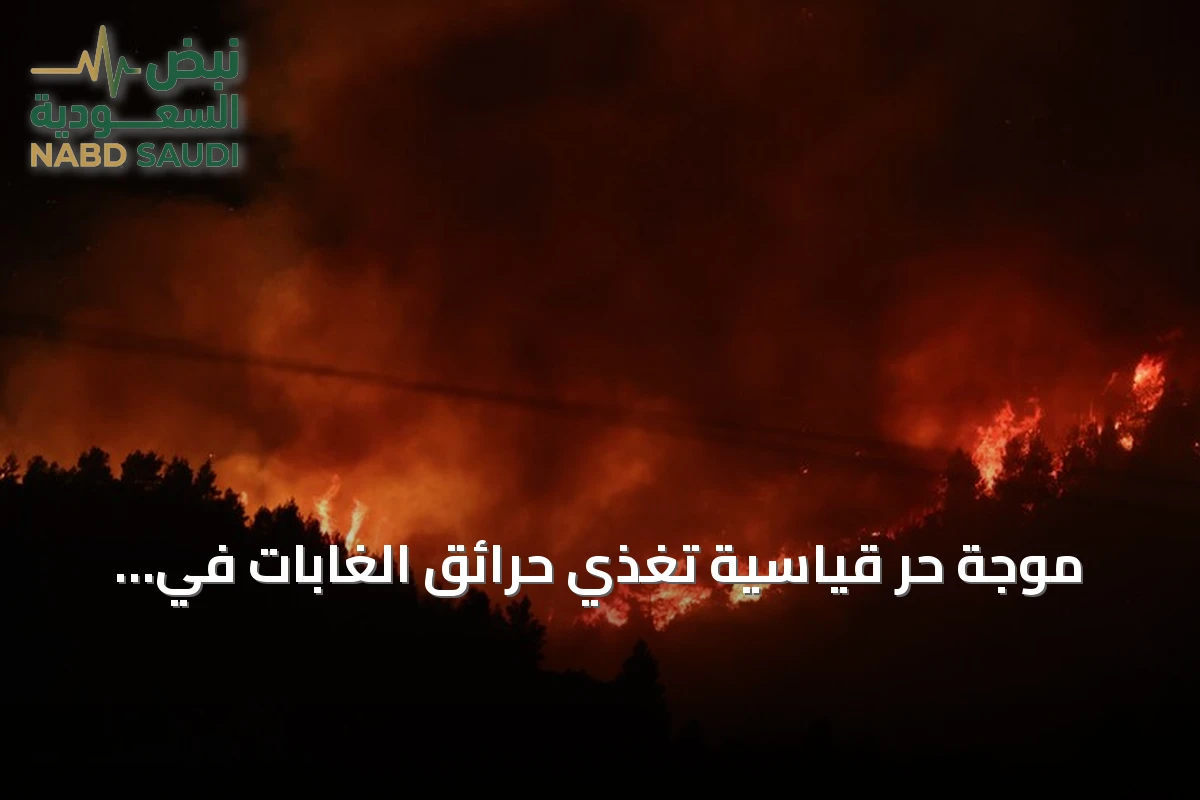 موجة حر قياسية تغذّي حرائق الغابات في المغرب والجزائر وتونس وتستدعي تدابير عاجلة