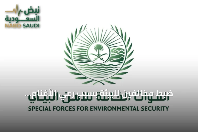 ضبط مخالفين للبيئة بسبب رعي الأغنام والتخييم غير المصرح به في محمتين ملكيتين
