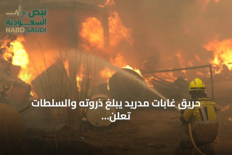 حريق غابات مدريد يبلغ ذروته والسلطات تعلن استحالة إخماده