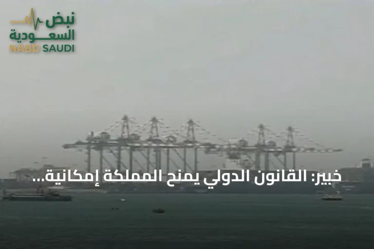 خبير: القانون الدولي يمنح المملكة إمكانية الرد على أي استهداف لسفنها أو أراضيها