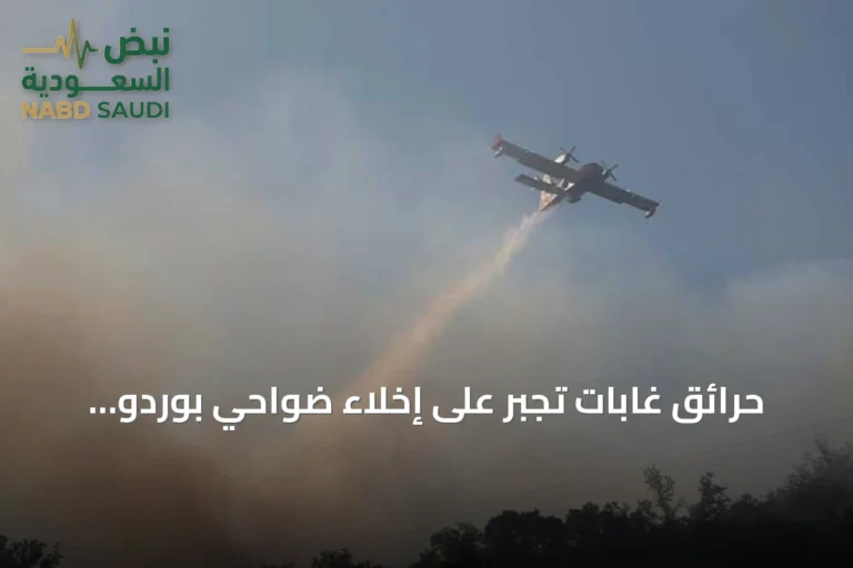 حرائق غابات تجبر على إخلاء ضواحي بوردو وتغير مسارها في جنوب غرب فرنسا