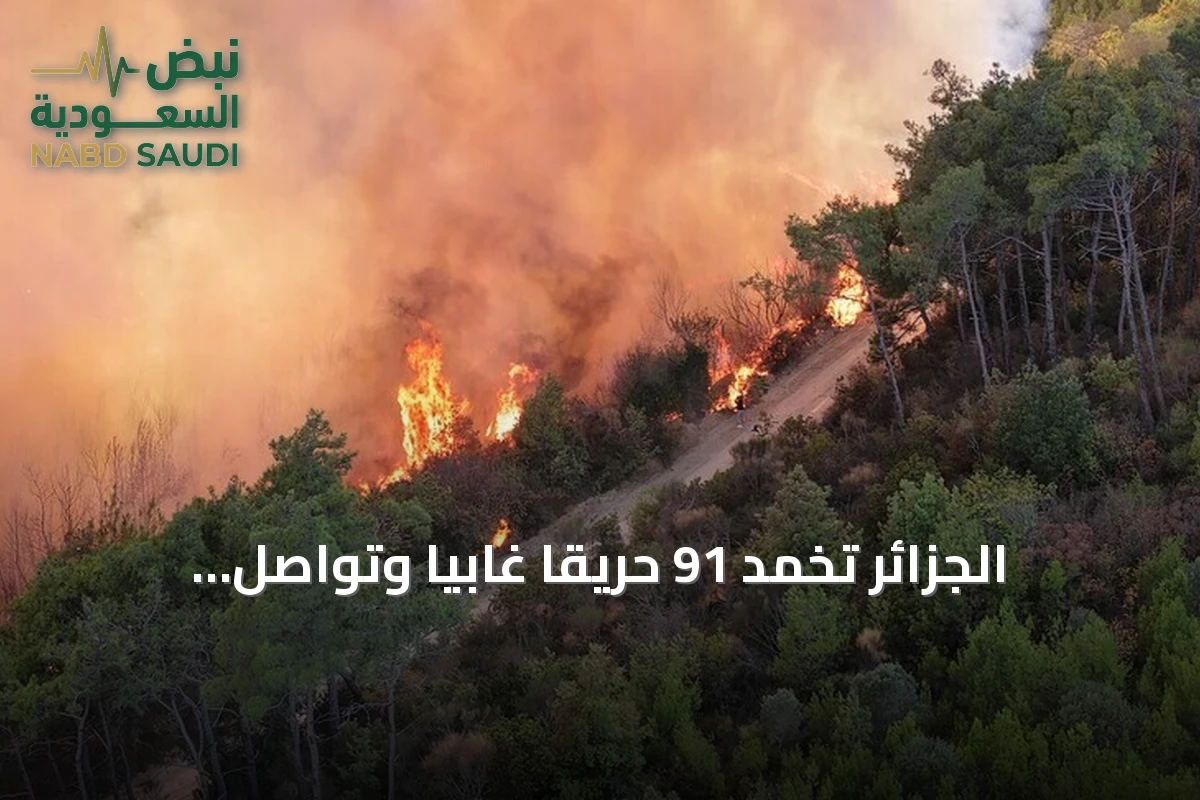 الجزائر تُخمّد 91 حريقاً غابياً وتواصل مكافحة 12 بؤرة amid موجة حر قياسية