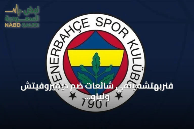 فنربهتشه ينفي شائعات ضم ديميروفيتش ولياو ويؤكد تركيزه على دوري الأبطال