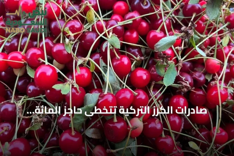 صادرات الكرز التركية تتخطى حاجز المائة مليون دولار خلال ستة أشهر