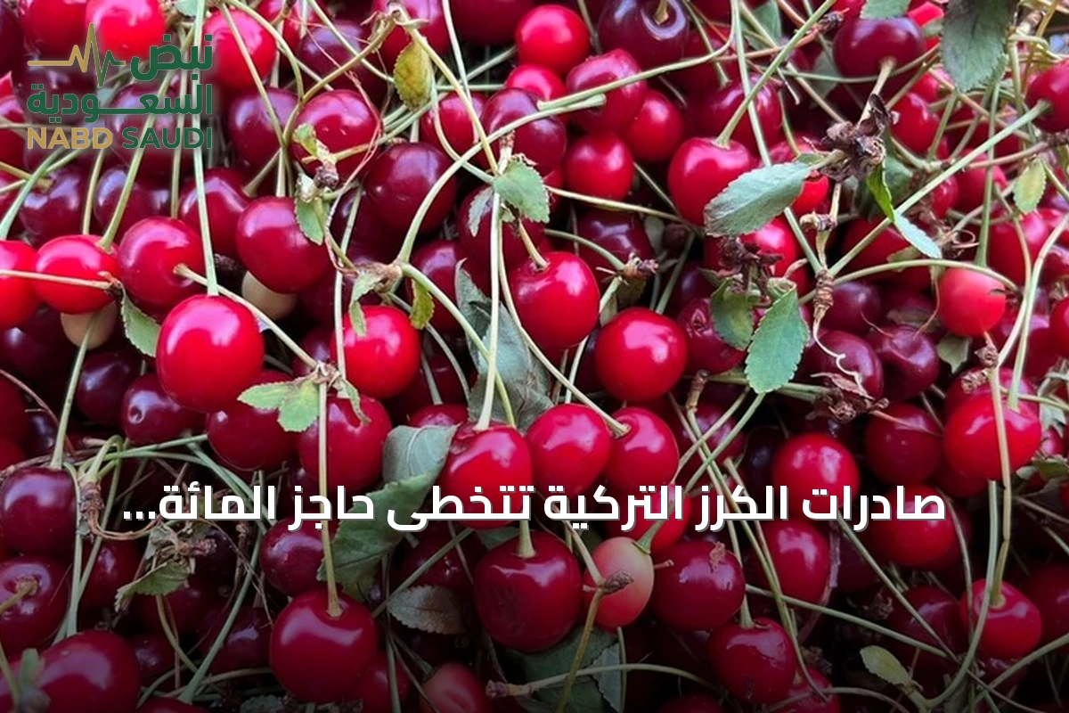 صادرات الكرز التركية تتخطى حاجز المائة مليون دولار خلال ستة أشهر