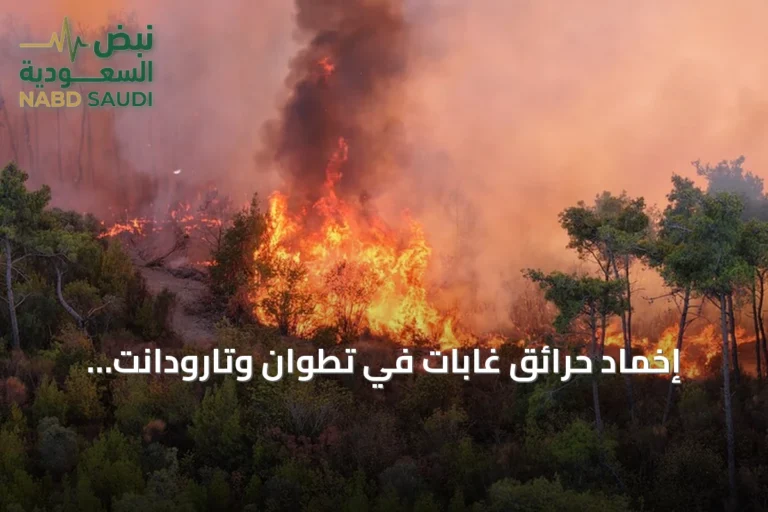 إخماد حرائق غابات في تطوان وتارودانت وتقييم المخاطر الجوية