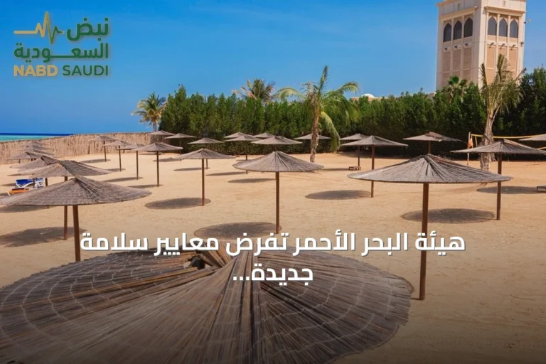هيئة البحر الأحمر تفرض معايير سلامة جديدة على مشغلي الشواطئ للحد من الغرق