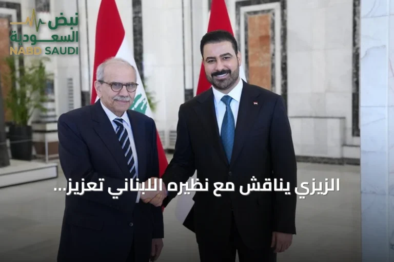 الزيزي يناقش مع نظيره اللبناني تعزيز التعاون الاقتصادي والتنموي