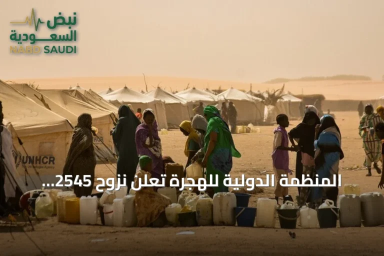 المنظمة الدولية للهجرة تعلن نزوح 2545 شخصا من قرى أمبرو إلى تشاد