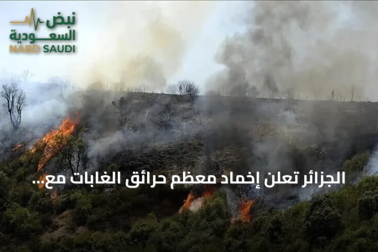 الجزائر تعلن إخماد معظم حرائق الغابات مع تراجع درجات الحرارة