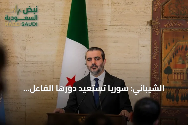 الشيباني: سوريا تستعيد دورها الفاعل والمسؤول في الأمم المتحدة
