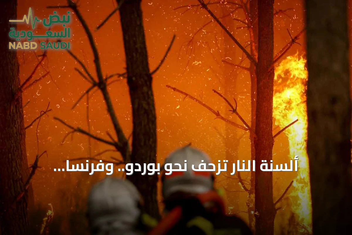 ألسنة النار تزحف نحو بوردو.. وفرنسا وإسبانيا في مواجهة حرائق غير مسبوقة