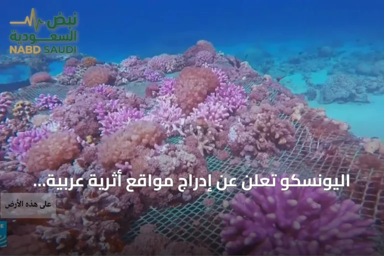 اليونسكو تُعلن عن إدراج مواقع أثرية عربية جديدة في قائمة التراث العالمي