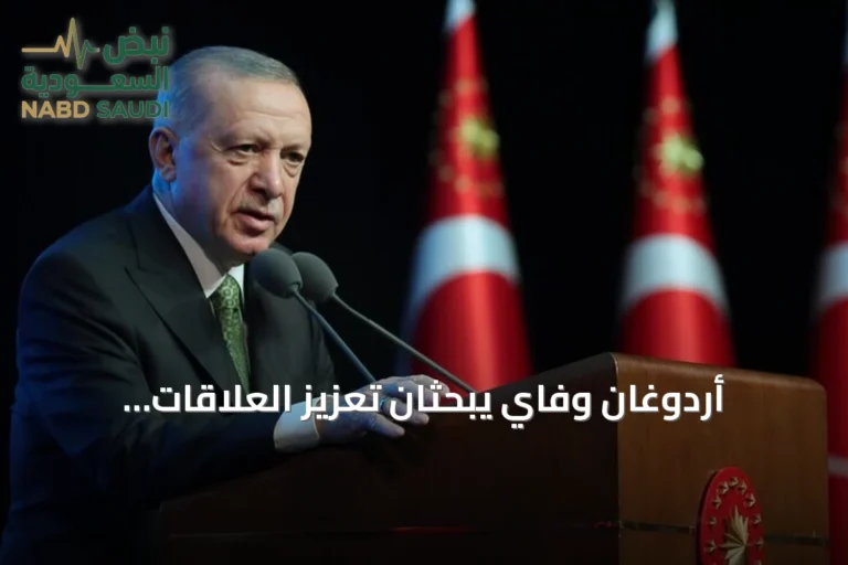 أردوغان وفاي يبحثان تعزيز العلاقات الثنائية والتعاون الدفاعي