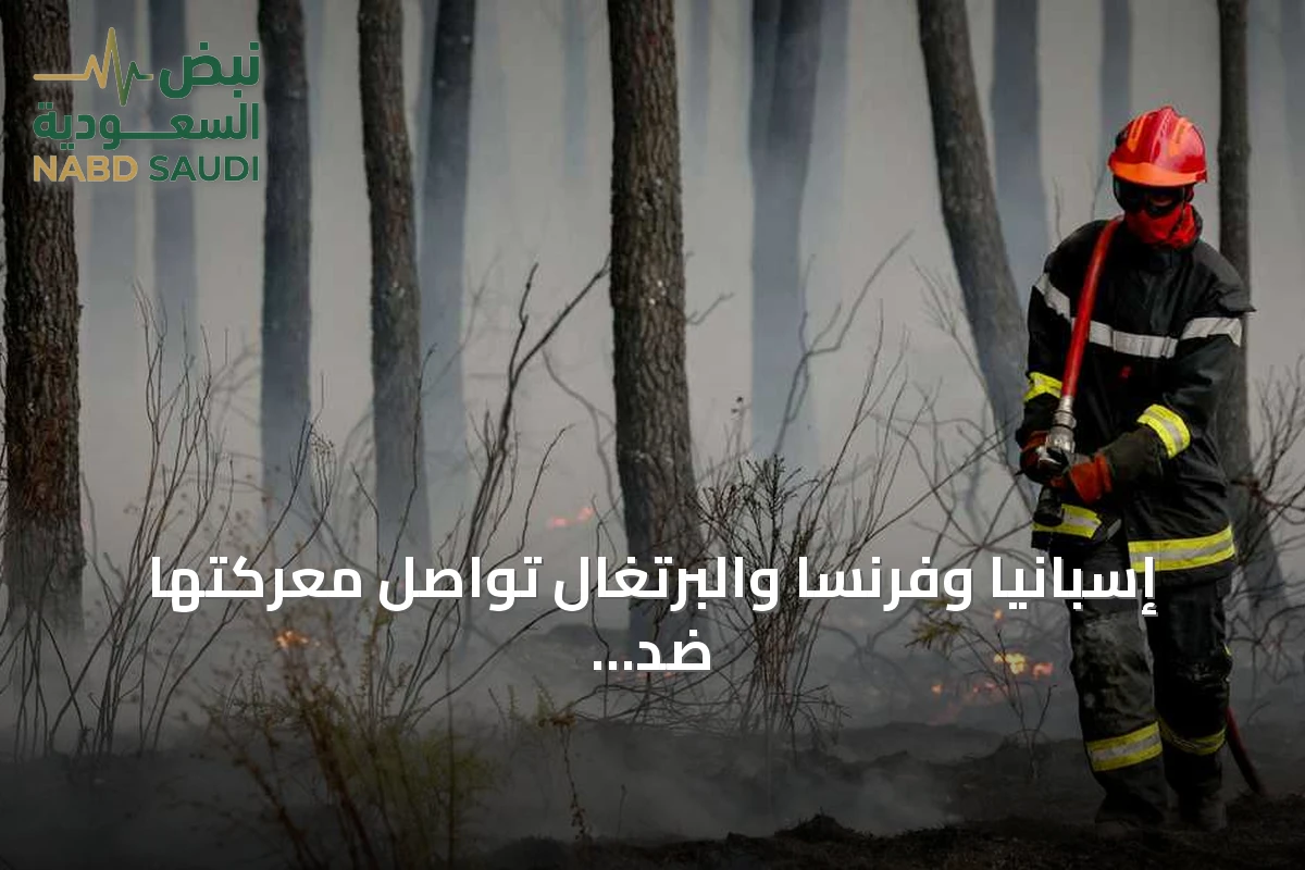 إسبانيا وفرنسا والبرتغال تواصل معركتها ضد حرائق الغابات وسط موجة حر قاسية