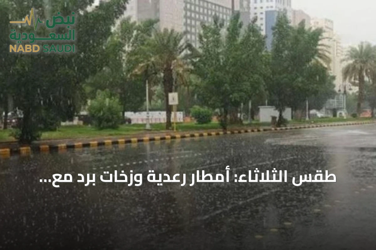 طقس الثلاثاء: أمطار رعدية وزخات برد مع رياح نشطة على عدة مناطق سعودية