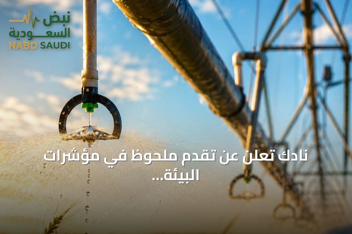 نادك تُعلن عن تقدم ملحوظ في مؤشرات البيئة والمسؤولية الاجتماعية والحوكمة وفق تقرير الاستدامة 2025