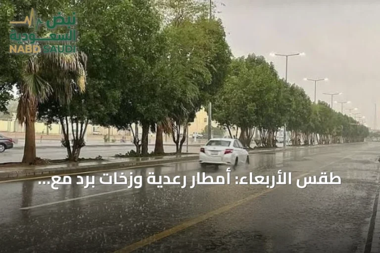 طقس الأربعاء: أمطار رعدية وزخات برد مع رياح نشطة على عدة مناطق