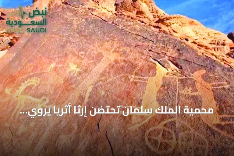 محمية الملك سلمان تحتضن إرثاً أثرياً يروي تاريخ الإنسان في الجزيرة العربية