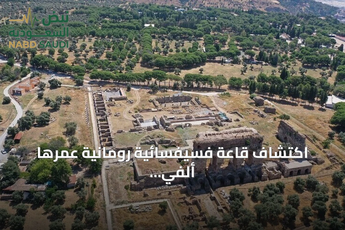 اكتشاف قاعة فسيفسائية رومانية عمرها ألفي عام في تراليس بآيدن
