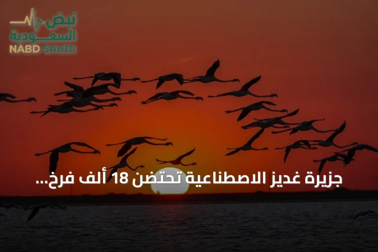 جزيرة غديز الاصطناعية تحتضن 18 ألف فرخ فلامنغو في إزمير التركية