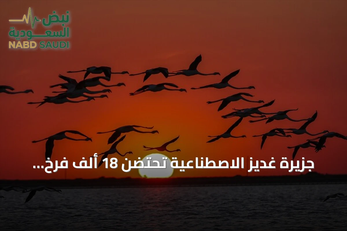 جزيرة غديز الاصطناعية تحتضن 18 ألف فرخ فلامنغو في إزمير التركية