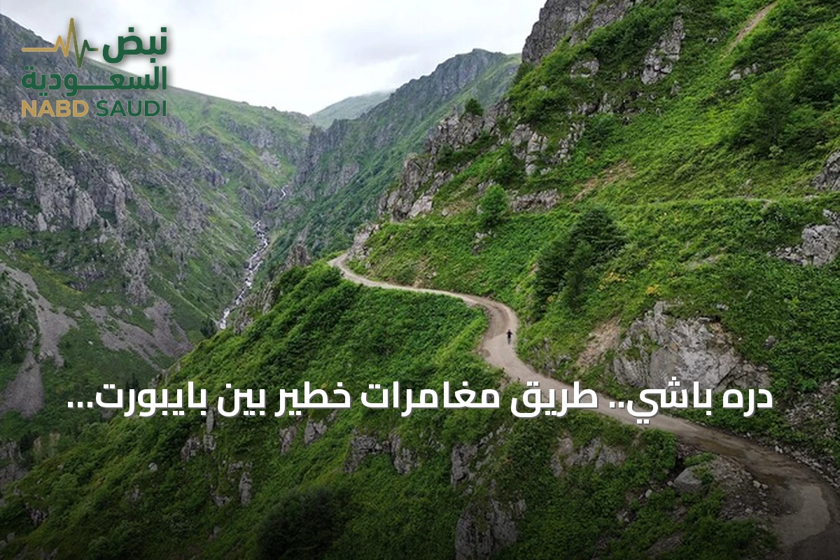 دره باشي.. طريق مغامرات خطير بين بايبورت وطرابزون