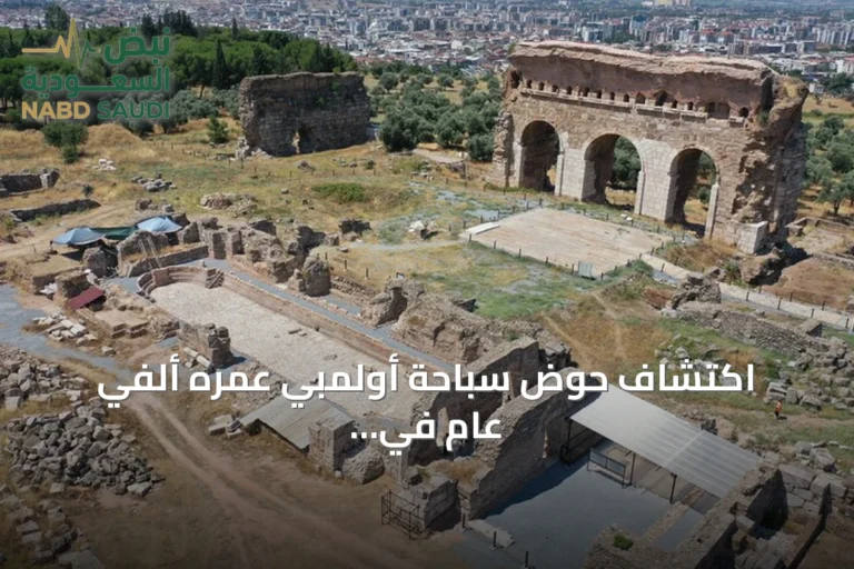 اكتشاف حوض سباحة أولمبي عمره ألفي عام في مدينة تراليس التركية