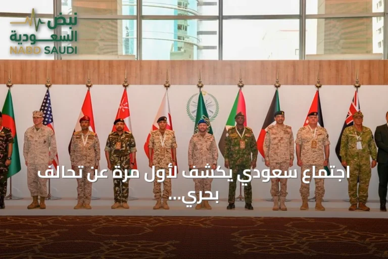 اجتماع سعودي يكشف لأول مرة عن تحالف بحري دفاعي لحماية باب المندب