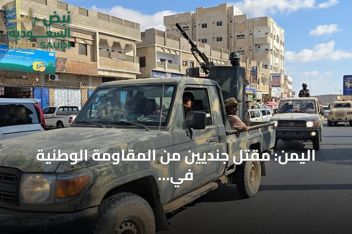 اليمن: مقتل جنديين من المقاومة الوطنية في مواجهات مع الحوثيين