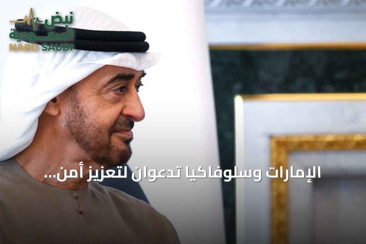 الإمارات وسلوفاكيا تدعوان لتعزيز أمن الملاحة في مضيق هرمز