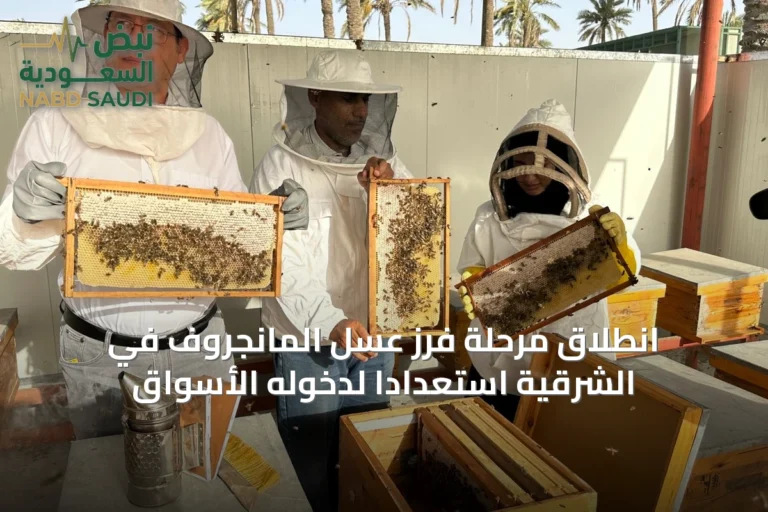 انطلاق مرحلة فرز عسل المانجروف في الشرقية استعداداً لدخوله الأسواق