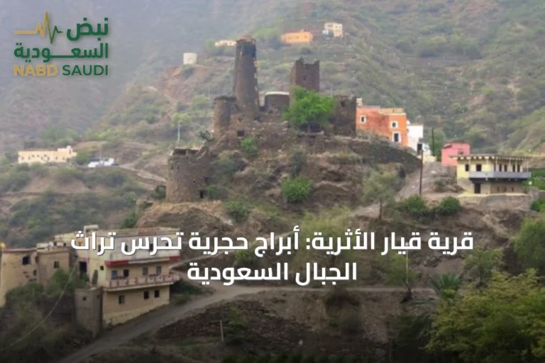 قرية قيار الأثرية: أبراج حجرية تحرس تراث الجبال السعودية