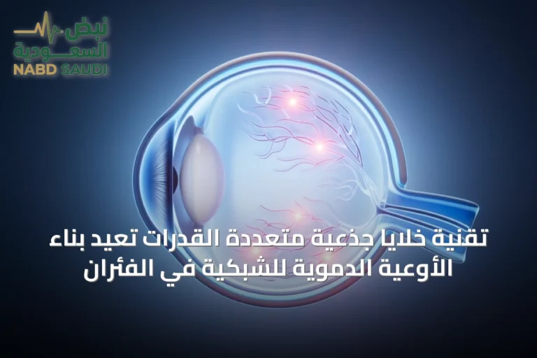 تقنية خلايا جذعية متعددة القدرات تُعيد بناء الأوعية الدموية للشبكية في الفئران