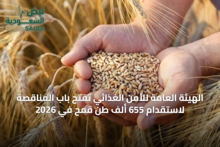 الهيئة العامة للأمن الغذائي تفتح باب المناقصة لاستقدام 655 ألف طن قمح في 2026