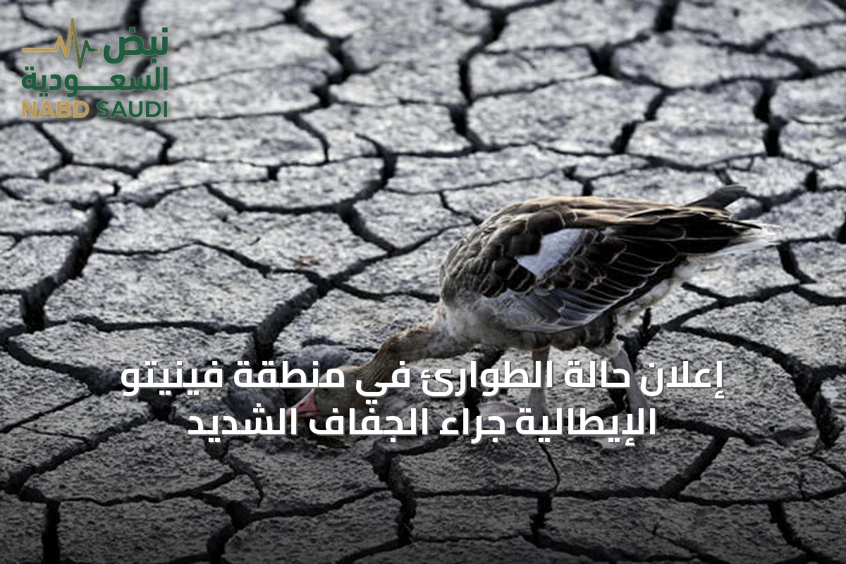 إعلان حالة الطوارئ في منطقة فينيتو الإيطالية جراء الجفاف الشديد