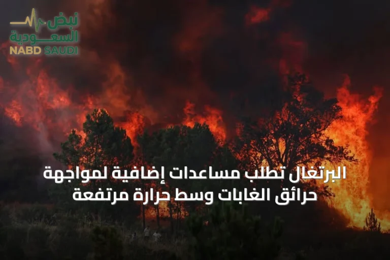البرتغال تطلب مساعدات إضافية لمواجهة حرائق الغابات وسط حرارة مرتفعة