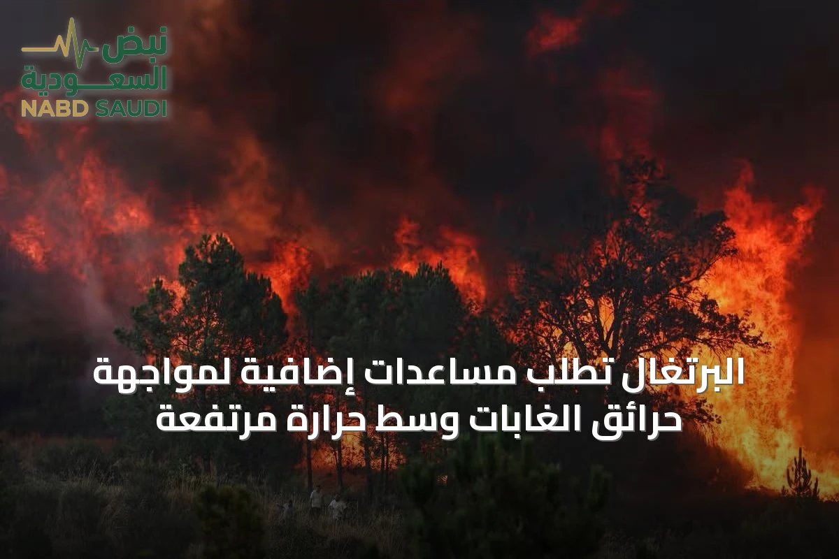 البرتغال تطلب مساعدات إضافية لمواجهة حرائق الغابات وسط حرارة مرتفعة