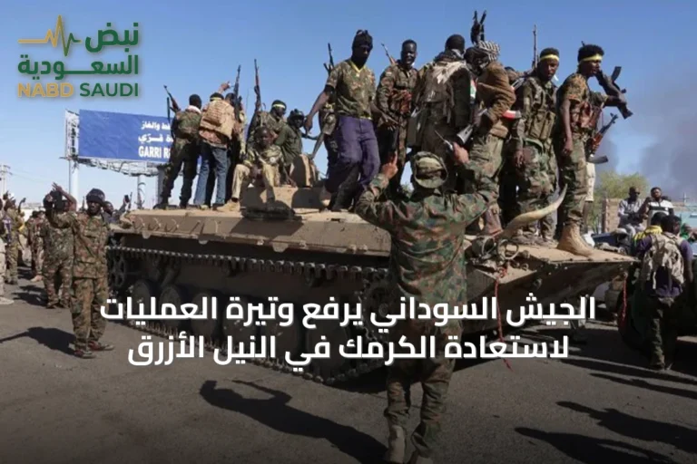 الجيش السوداني يرفع وتيرة العمليات لاستعادة الكرمك في النيل الأزرق