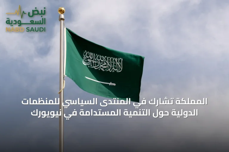 المملكة تشارك في المنتدى السياسي للمنظمات الدولية حول التنمية المستدامة في نيويورك