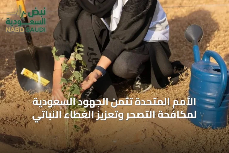 الأمم المتحدة تثمّن الجهود السعودية لمكافحة التصحر وتعزيز الغطاء النباتي