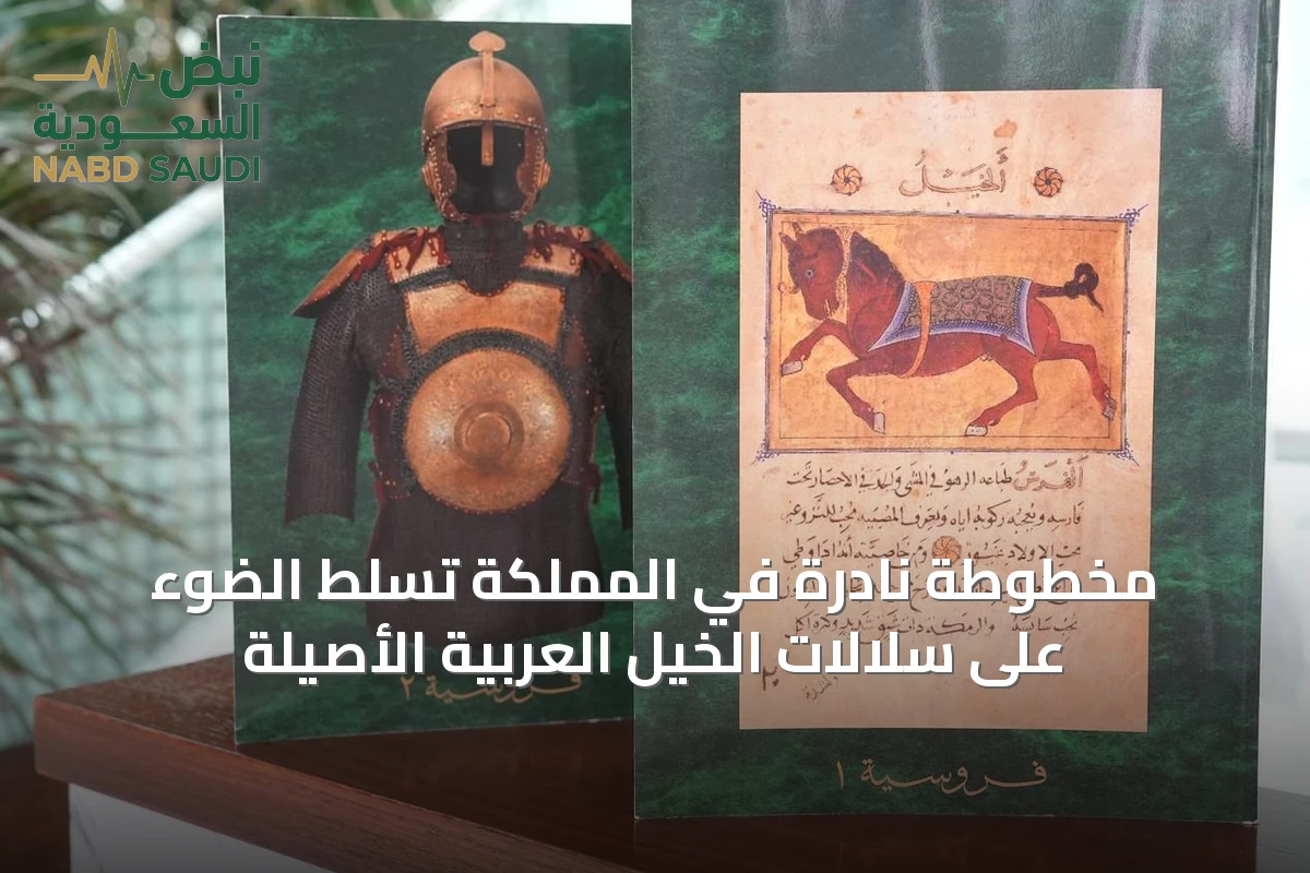 مخطوطة نادرة في المملكة تسلط الضوء على سلالات الخيل العربية الأصيلة