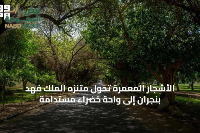 الأشجار المعمرة تحول متنزه الملك فهد بنجران إلى واحة خضراء مستدامة