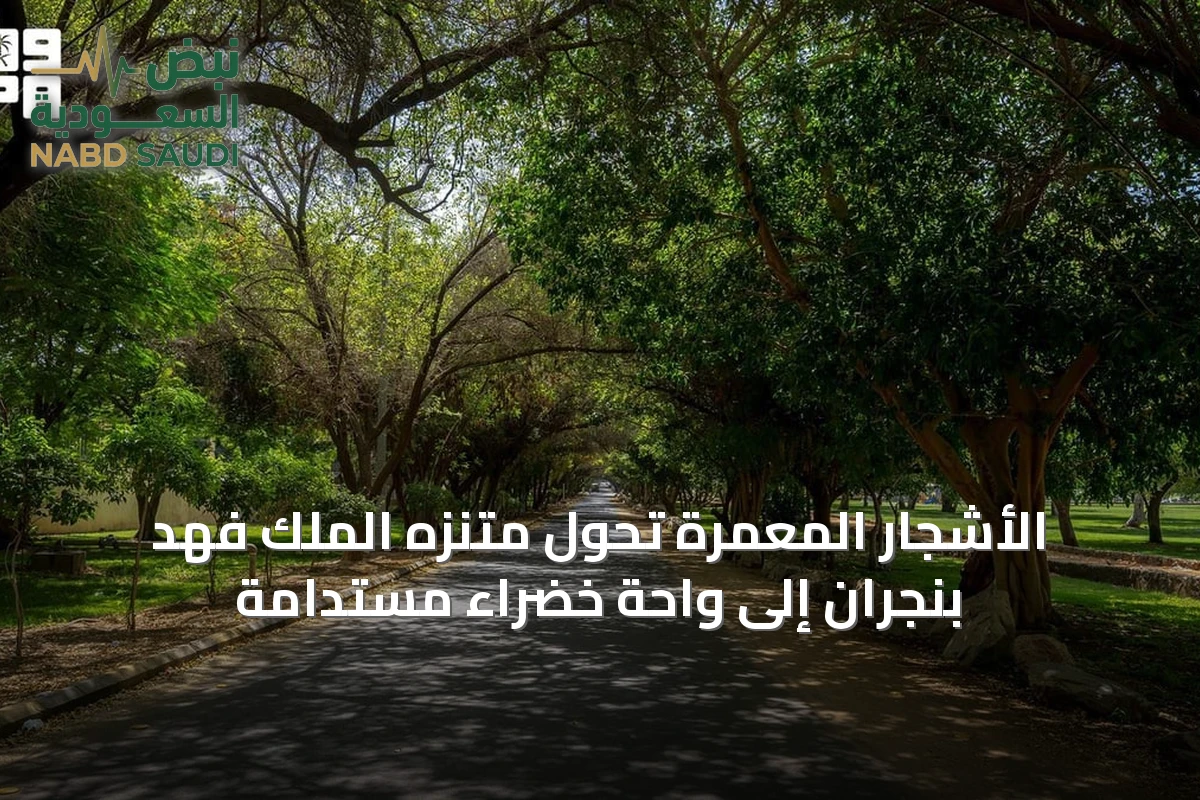 الأشجار المعمرة تحول متنزه الملك فهد بنجران إلى واحة خضراء مستدامة