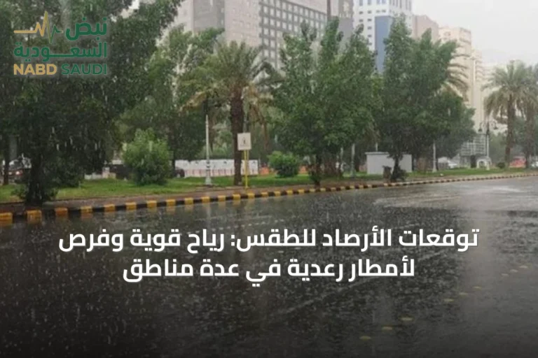 توقعات الأرصاد للطقس: رياح قوية وفرص لأمطار رعدية في عدة مناطق