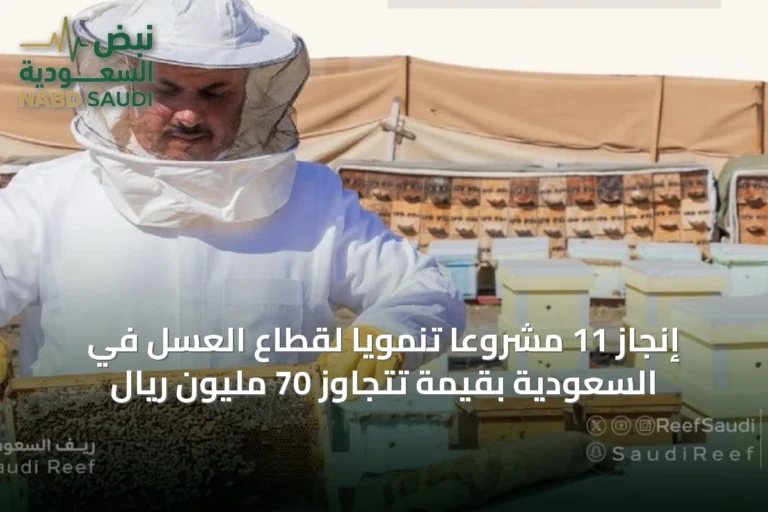 إنجاز 11 مشروعًا تنمويًا لقطاع العسل في السعودية بقيمة تتجاوز 70 مليون ريال